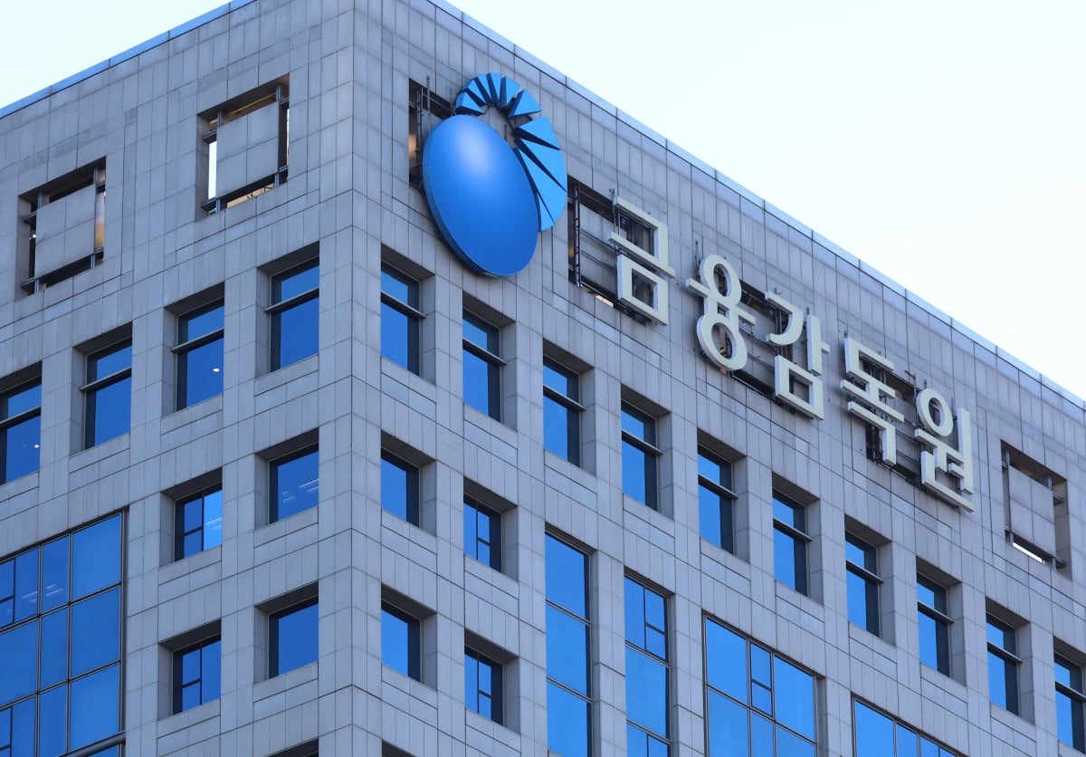 단일종목 레버리지 ETF 투자 주의보…금감원, 변동성 손실 위험 경고