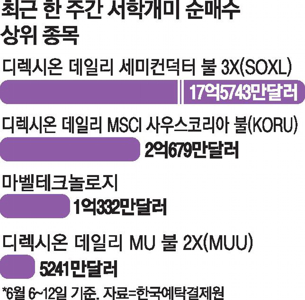 반도체 3배 레버리지 ETF에 서학개미 자금 집중, 조정장을 매수 기회로 판단