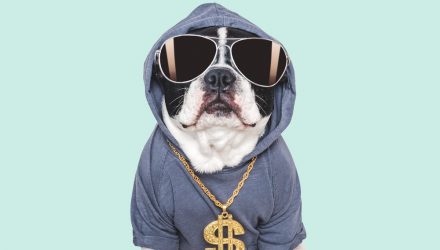 SDOG, ETF à haut dividende, vise revenu et diversification sectorielle américaine